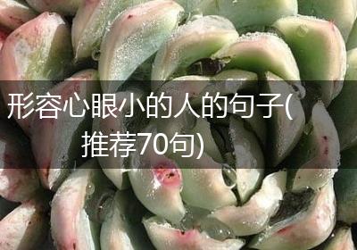 形容心眼小的人的句子(推荐70句)