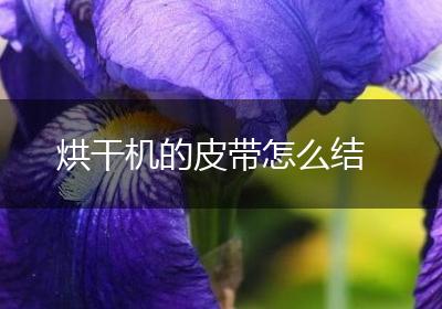 烘干机的皮带怎么结