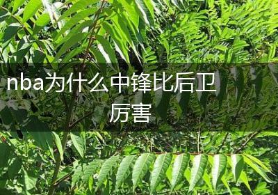 nba为什么中锋比后卫厉害