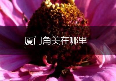 厦门角美在哪里