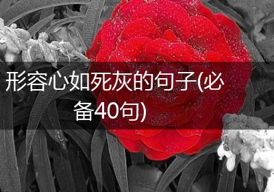形容心如死灰的句子(必备40句)