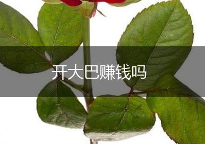 开大巴赚钱吗