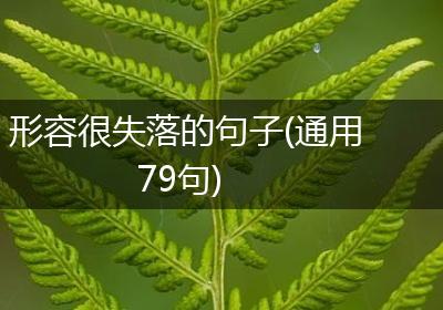 形容很失落的句子(通用79句)