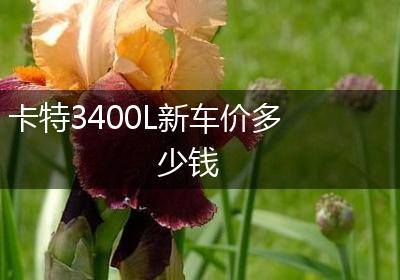 卡特3400L新车价多少钱