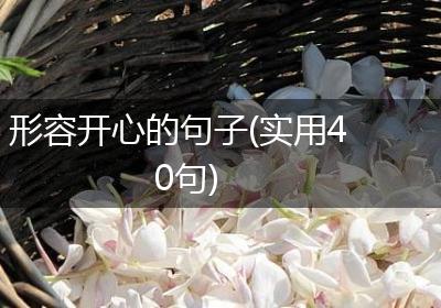 形容开心的句子(实用40句)