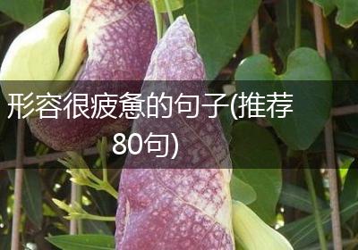 形容很疲惫的句子(推荐80句)