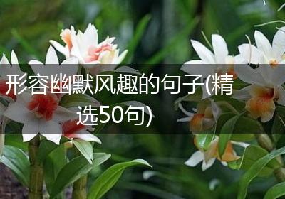 形容幽默风趣的句子(精选50句)