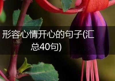 形容心情开心的句子(汇总40句)