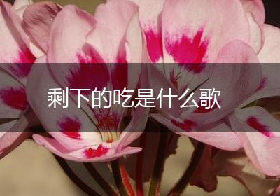 剩下的吃是什么歌
