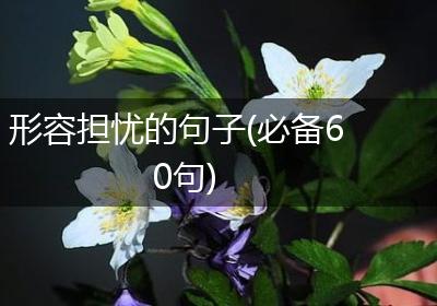 形容担忧的句子(必备60句)