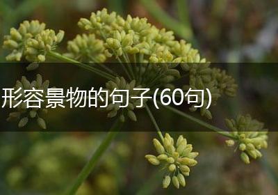 形容景物的句子(60句)