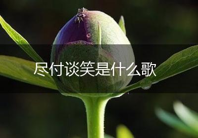 尽付谈笑是什么歌