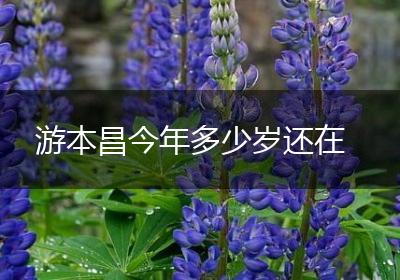 游本昌今年多少岁还在
