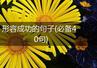 形容成功的句子(必备40句)