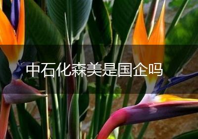 中石化森美是国企吗