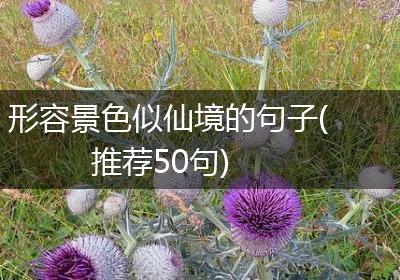 形容景色似仙境的句子(推荐50句)