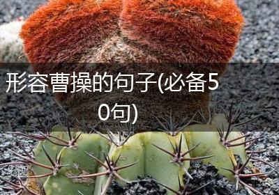 形容曹操的句子(必备50句)