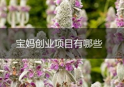 宝妈创业项目有哪些