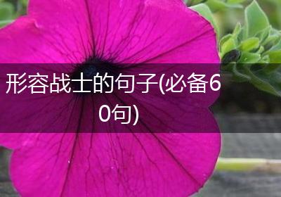 形容战士的句子(必备60句)