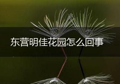 东营明佳花园怎么回事