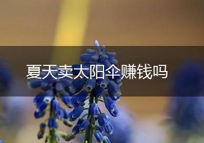夏天卖太阳伞赚钱吗