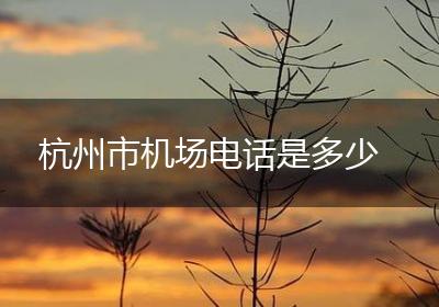 杭州市机场电话是多少
