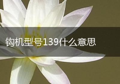 钩机型号139什么意思