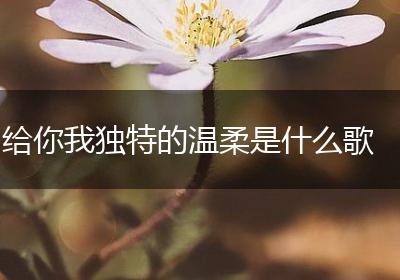 给你我独特的温柔是什么歌