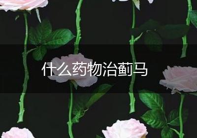 什么药物治蓟马
