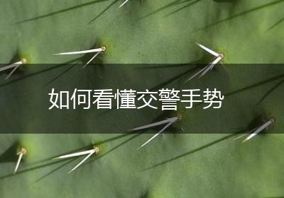 如何看懂交警手势