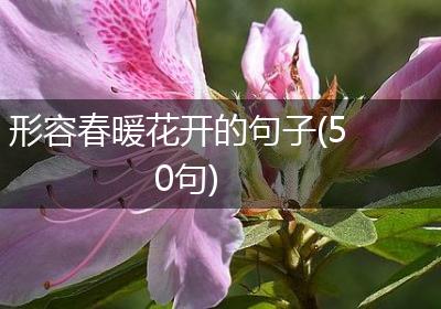形容春暖花开的句子(50句)