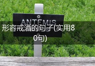 形容戒酒的句子(实用80句)