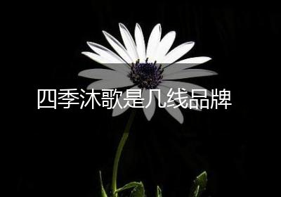 四季沐歌是几线品牌