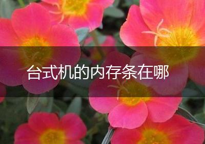 台式机的内存条在哪