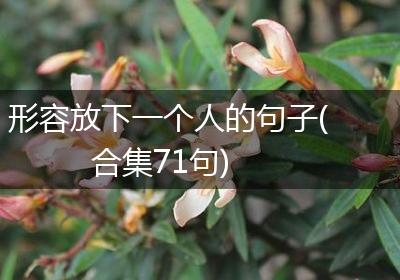 形容放下一个人的句子(合集71句)