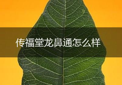 传福堂龙鼻通怎么样