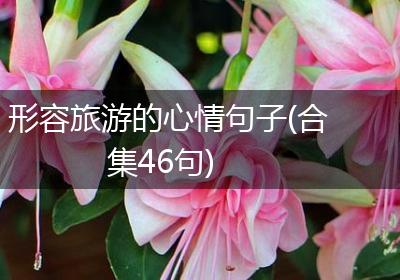 形容旅游的心情句子(合集46句)