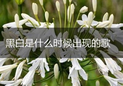 黑白是什么时候出现的歌