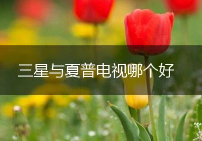 三星与夏普电视哪个好
