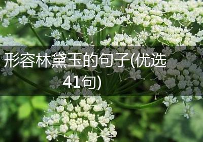 形容林黛玉的句子(优选41句)