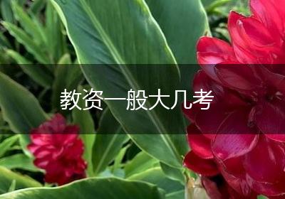 教资一般大几考
