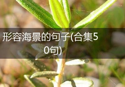 形容海景的句子(合集50句)