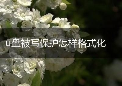 u盘被写保护怎样格式化