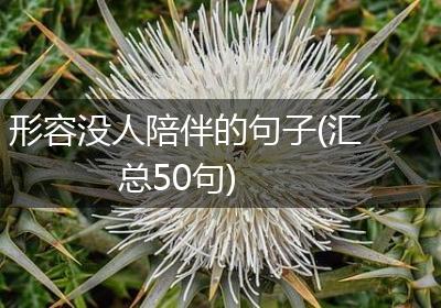 形容没人陪伴的句子(汇总50句)
