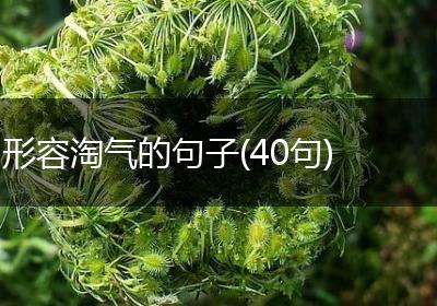 形容淘气的句子(40句)