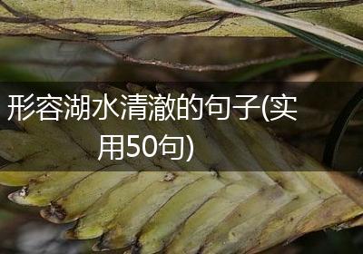 形容湖水清澈的句子(实用50句)