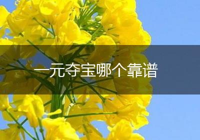 一元夺宝哪个靠谱