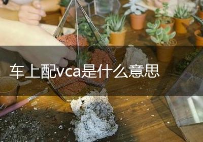 车上配vca是什么意思
