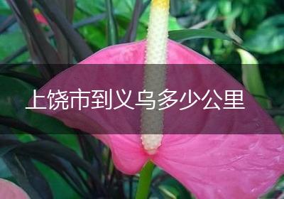 上饶市到义乌多少公里