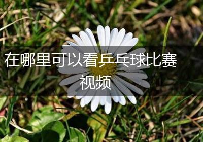 在哪里可以看乒乓球比赛视频